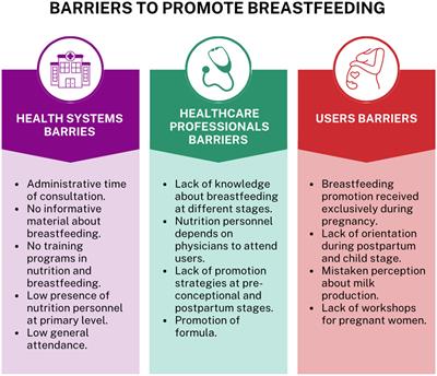 Barriers to promoting breastfeeding in primary health care in Mexico: a qualitative perspective